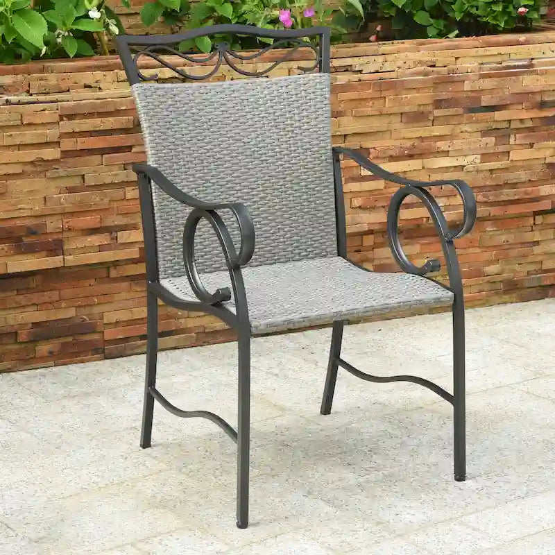 Valencia Resin Wicker/ Steel Dining Chairs (Set of 2)