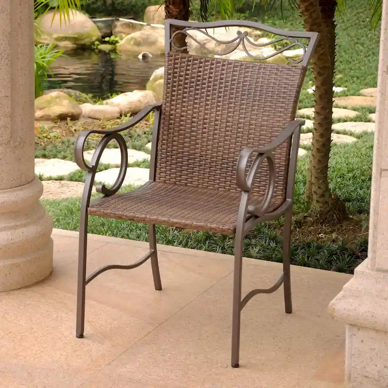 Valencia Resin Wicker/ Steel Dining Chairs (Set of 2)