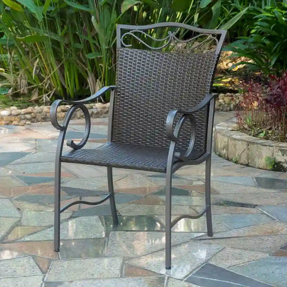 Valencia Resin Wicker/ Steel Dining Chairs (Set of 2)