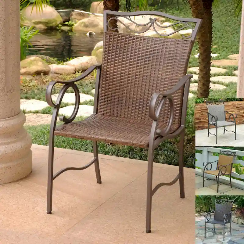 Valencia Resin Wicker/ Steel Dining Chairs (Set of 2)