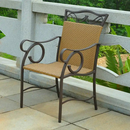 Valencia Resin Wicker/ Steel Dining Chairs (Set of 2)