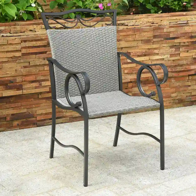 Valencia Resin Wicker/ Steel Dining Chairs (Set of 2)