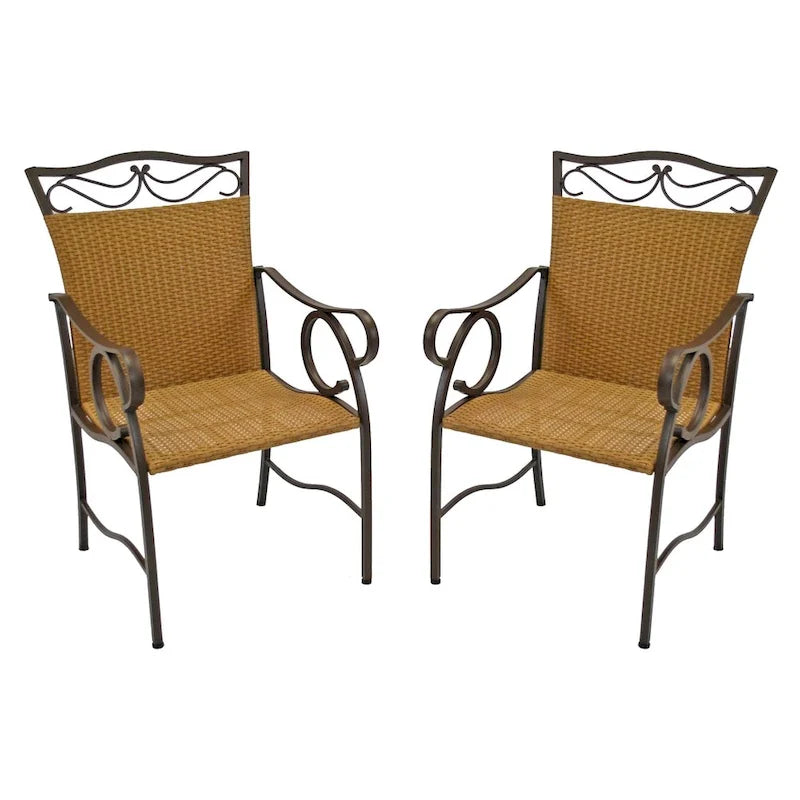 Valencia Resin Wicker/ Steel Dining Chairs (Set of 2)