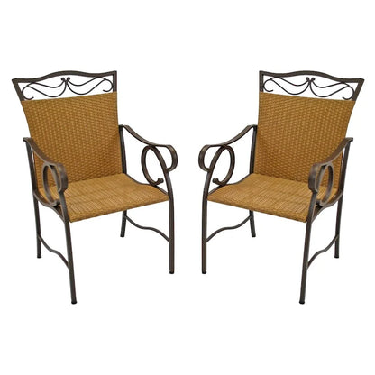 Valencia Resin Wicker/ Steel Dining Chairs (Set of 2)