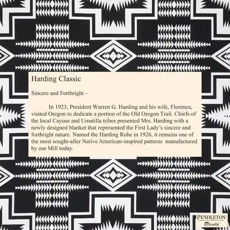 Sorra Home Sunbrella Pendleton Outdoor Bean Lounger - 54 in W x 38 in W x 21 in H