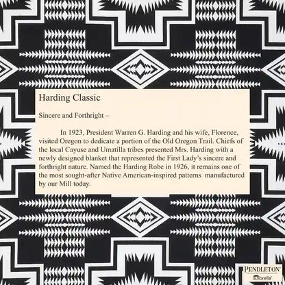 Sorra Home Sunbrella Pendleton Outdoor Bean Lounger - 54 in W x 38 in W x 21 in H