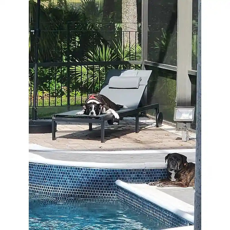 PURPLE LEAF Outdoor Tanning Lounge Chair Set with Face Hole Adjustable Reclining Chairs - N/A